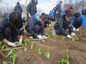 2015年3月25日，华东政法大学附属中学组织学生到健生基地进行学农社会实践